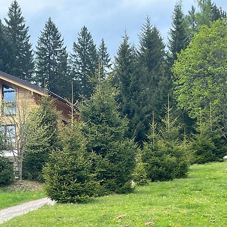 Chalet Bergheimat วาไกรน์ ภายนอก รูปภาพ